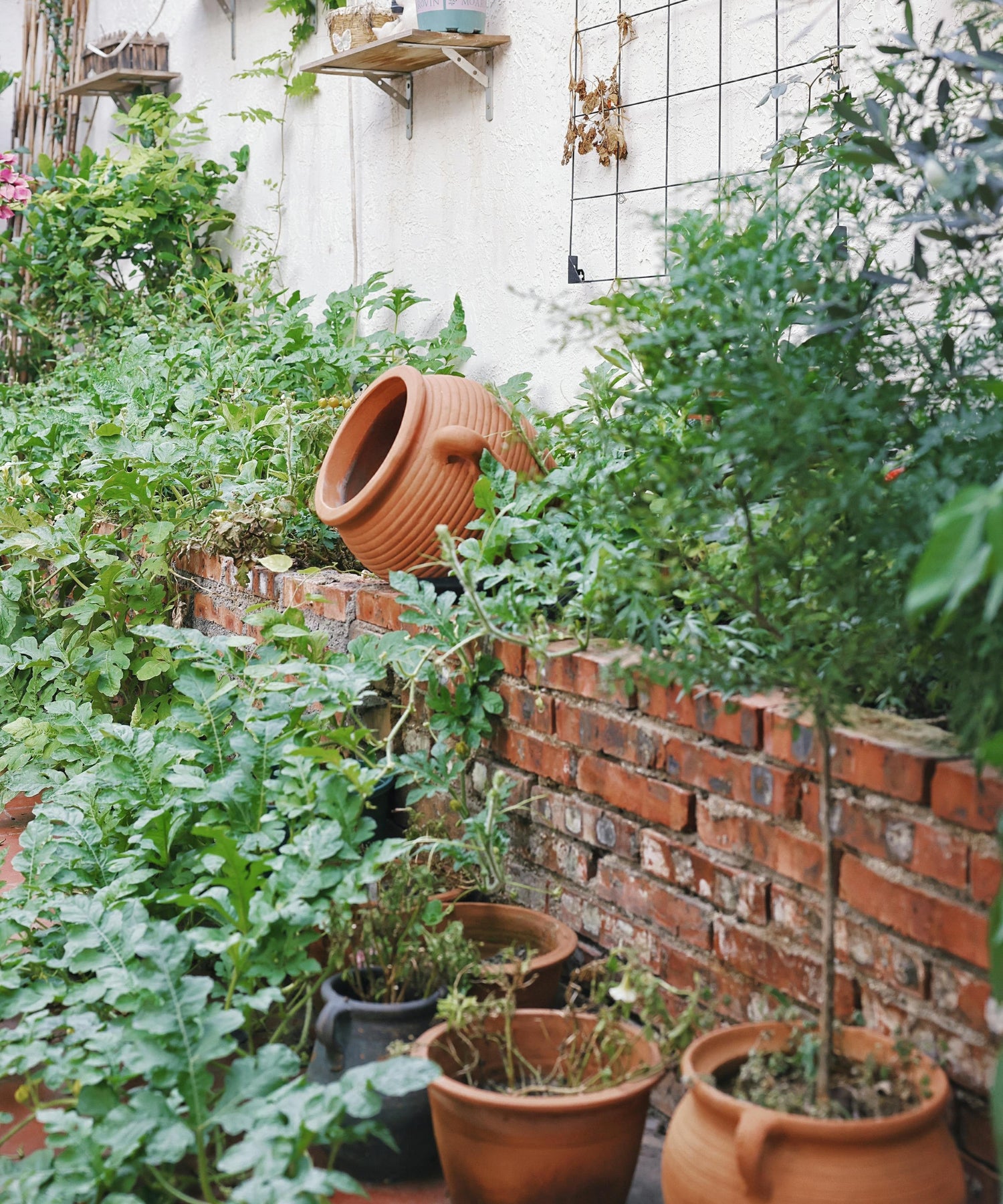 Gardening