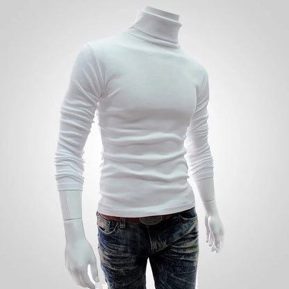 Autumn, Winter Men's Sweater,Turtleneck, Solid Color Pullovers, Slim Fit,  Knitted Sweaters